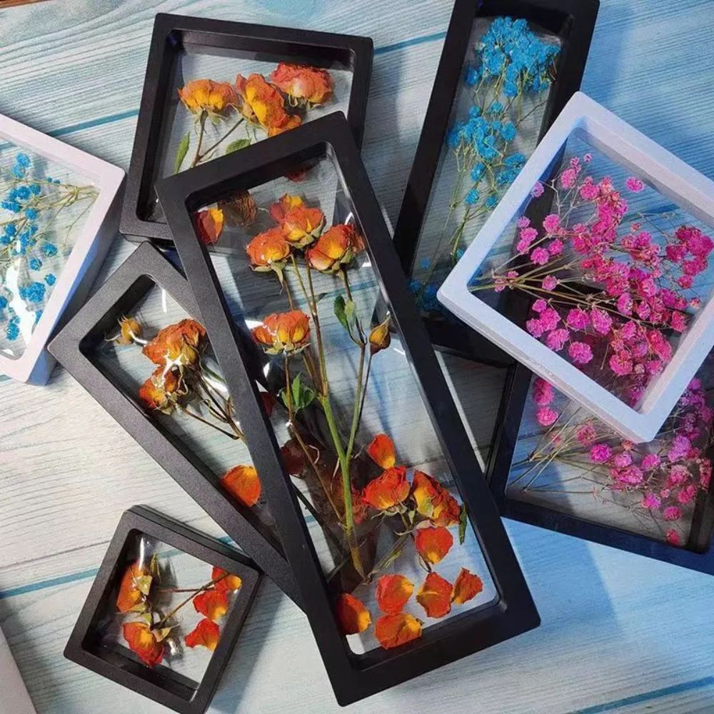 Plastic Transparent Frame Storage Box Black White Square Picture Frame